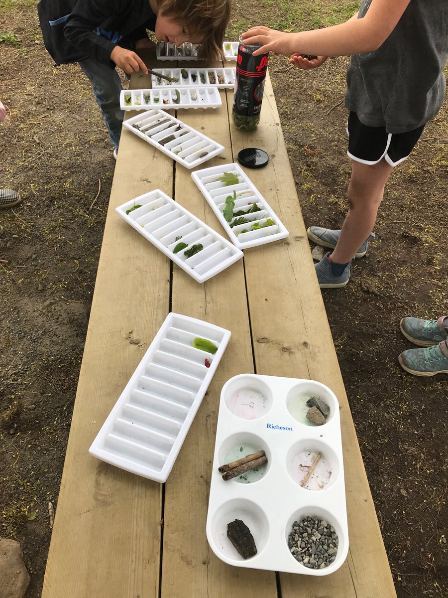 mmejacquie's tweet image. On our collecting walk, we gathered items using these « ten » containers and were a surprised to find tiny green maple leaves falling @SpiritRPPS #mathtrails #inquiry @OCDSB