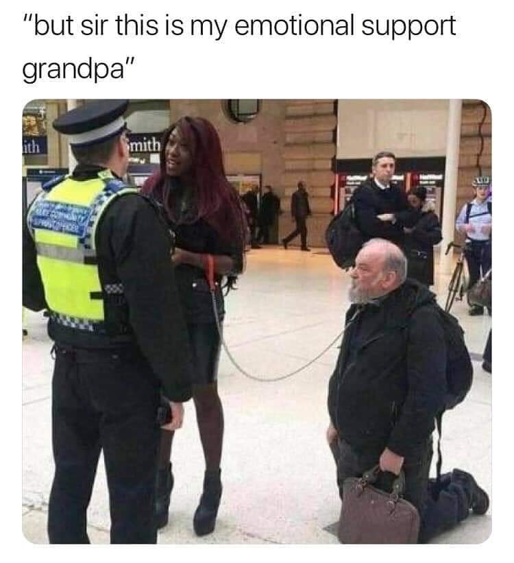 DomLioness's tweet photo. Emotional support sub* 😂
#sugarsub #sugardaddy #MistressMemeStash #femdom #goddess #mistress #findomme #humiliatrix #femaledomination #bdsm #fetishist #domme #dominatrix #bdsmmemes #bdsmmeme #bdsmjokes #kinkymemes #fetishmemes #fetishjokes #bdsm #collar #leash #bdsmpetplay https://t.co/VMI7hg8jfW