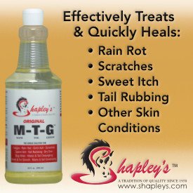 LegacyMedDog's tweet photo. Summer Horse Grooming Care and TIps https://t.co/ZkV3CowWP8 https://t.co/jzA5FK4NcQ