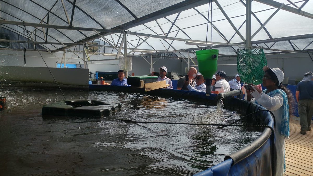 DanAlluf's tweet image. Looking back on a great week in which 🇮🇱🇮🇳 shared knowledge in the field of Aquaculture. Next week we are having an Israeli expert in🇮🇳under the #IIAP focused on beekeeping &amp;amp; Pollination. What a vibrant #GrowingPartnership @MASHAVisrael