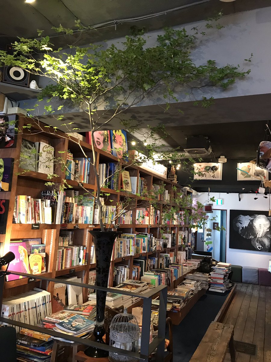 WORLDBOOKCAFE's tweet photo. 今日もとても気持ちのいい陽気ですね☀️
天気が良いと気持ちも晴れ晴れします😌
今日から中央の植物がドウダンツツジになりました！
天井にも届くほどとても立派でびっくりです！
緑があると涼しげですね🌱
本日も通常通りの営業でございます🙋‍♀️ https://t.co/QPFS6rMH0O