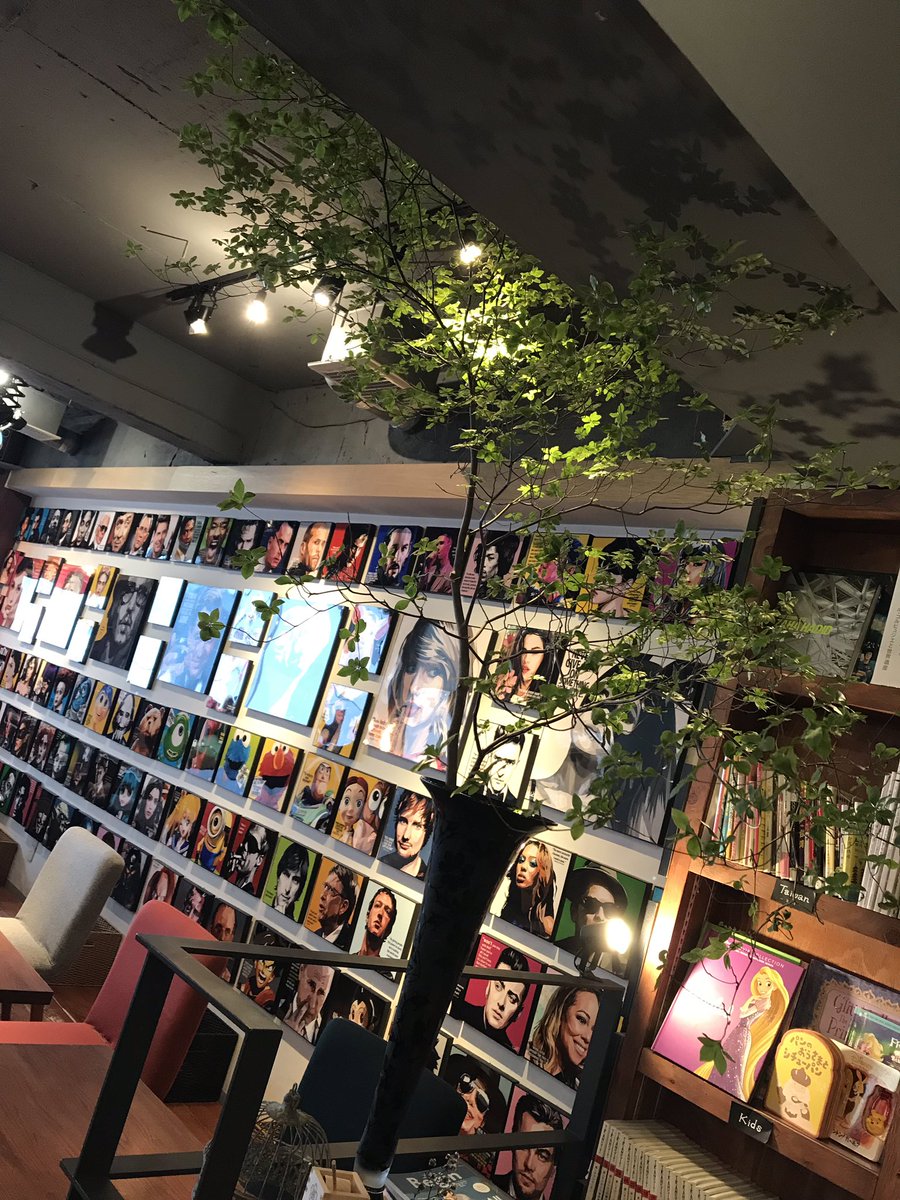 WORLDBOOKCAFE's tweet photo. 今日もとても気持ちのいい陽気ですね☀️
天気が良いと気持ちも晴れ晴れします😌
今日から中央の植物がドウダンツツジになりました！
天井にも届くほどとても立派でびっくりです！
緑があると涼しげですね🌱
本日も通常通りの営業でございます🙋‍♀️ https://t.co/QPFS6rMH0O
