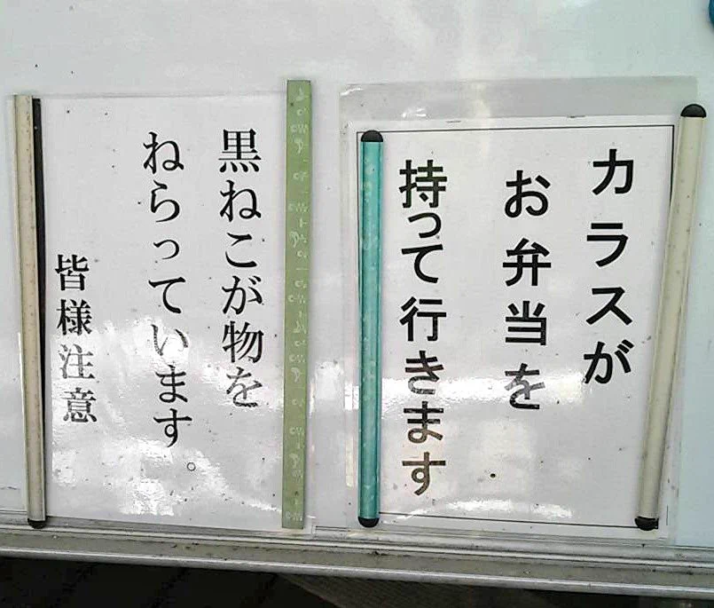 治安が悪い（人ではなく動物によって）
