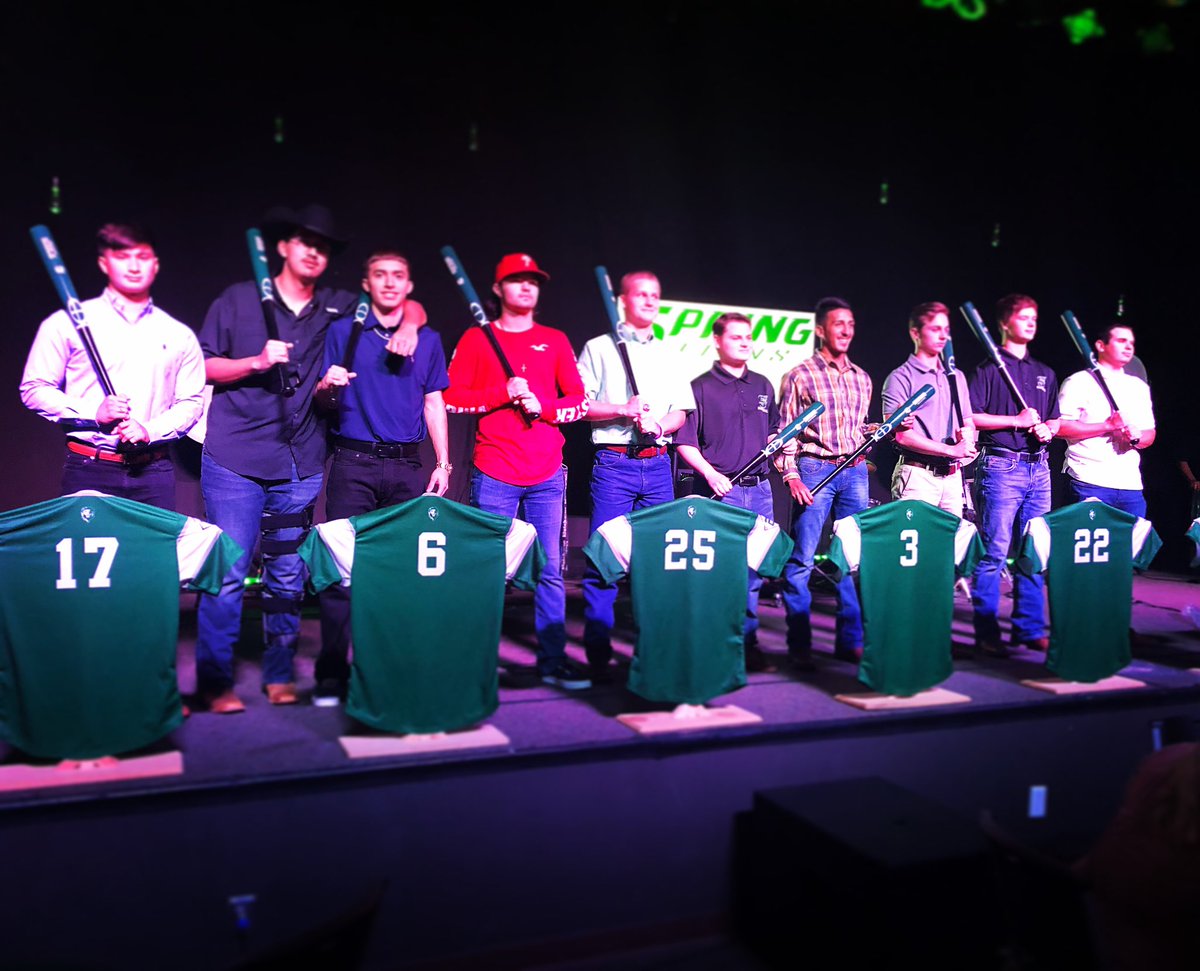 SPRING LION BASEBALL tweet media