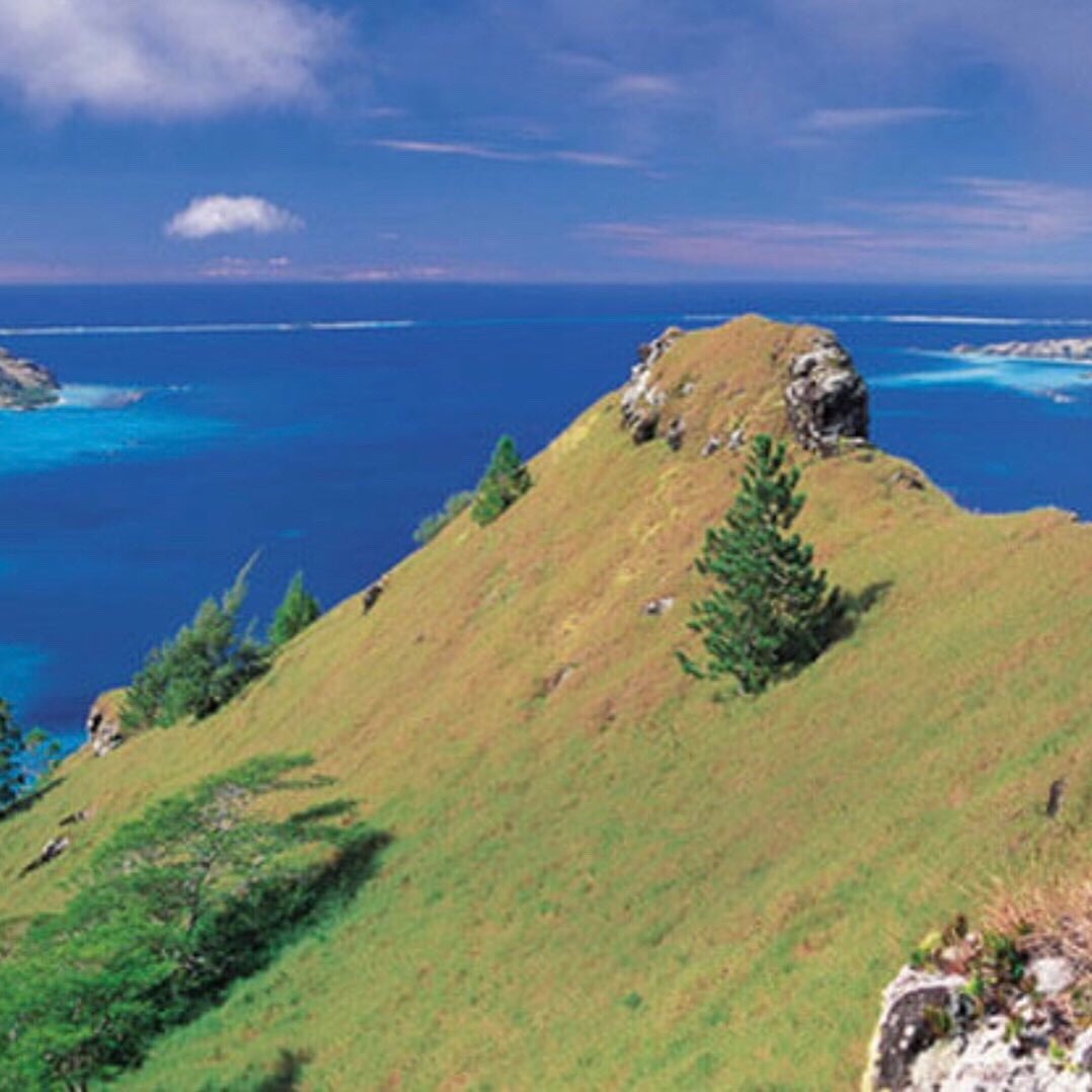 BeckySBuckland's tweet image. The South Pacific islands of FRENCH POLYNESIA are waiting —Do you speak FRENCH or willing to learn? Of the 118 islands &amp;amp; atolls, 67 are inhabited. TAHITI is the most populous island w/69% of population.
#everyinhabitedisle #PAC4Him #LaborersNeeded!

PhotoFrenchPolynesiaTourism