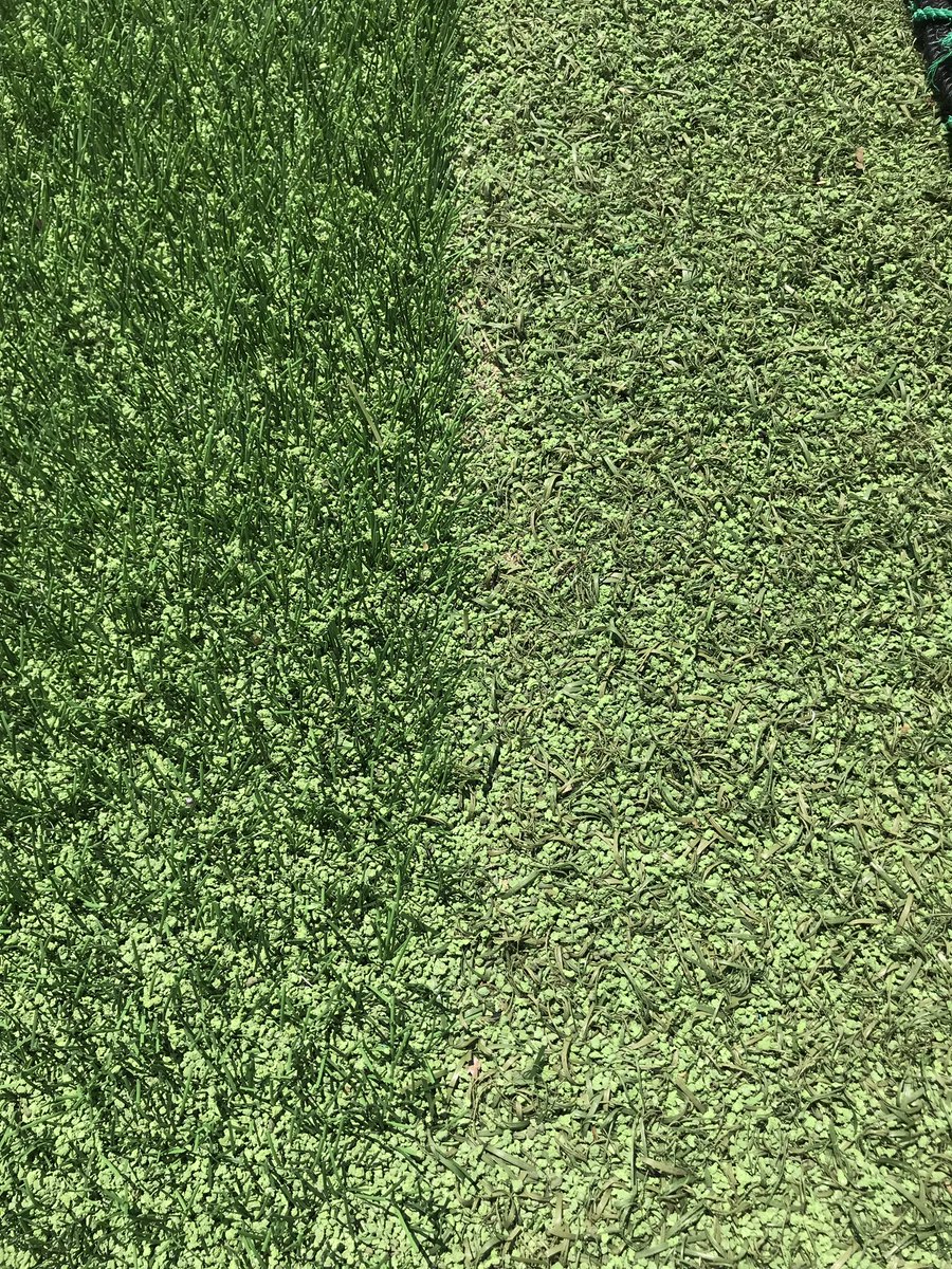 ゼルビアフットサルパーク