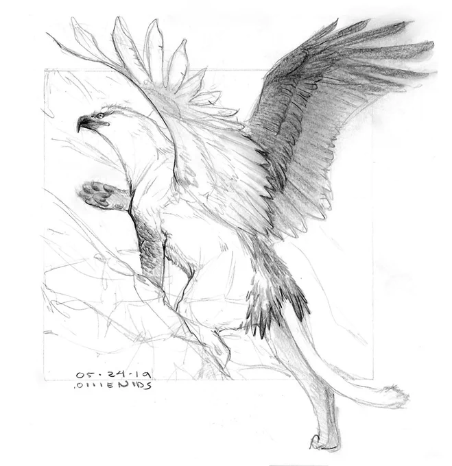 gryphon for day 24
#mythicmay #maysketchaday 