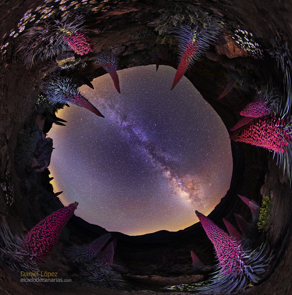 johnjfallows's tweet image. Planet of the Tajinastes via NASA go.nasa.gov/2YQd9ia