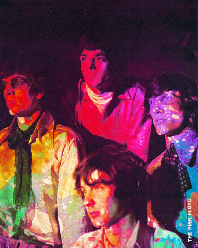 Carmen Castro tweet media