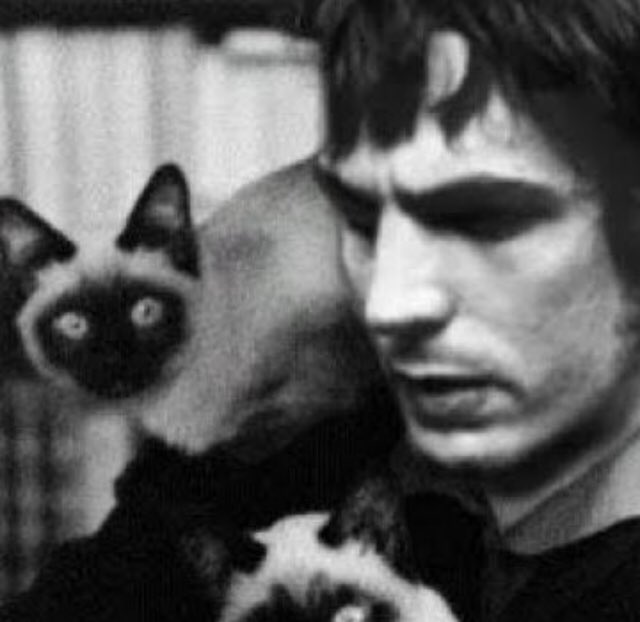 Carmen Castro tweet media