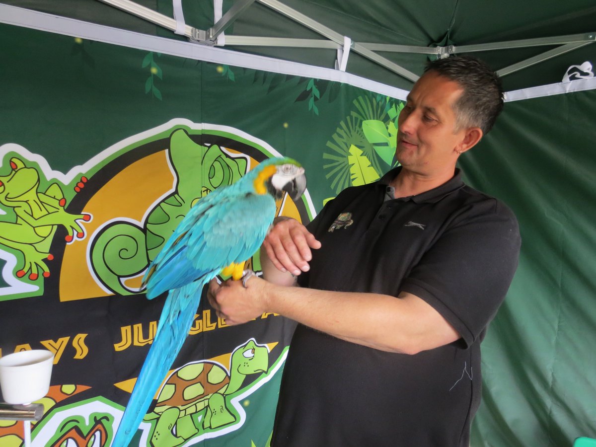 Gateway978's tweet photo. Radio Club Live now! The club whent to the Basildon market today and saw some Exotic Animals! #BasildonMarket #Essex #Gateway978 https://t.co/MQvtNKzoJY