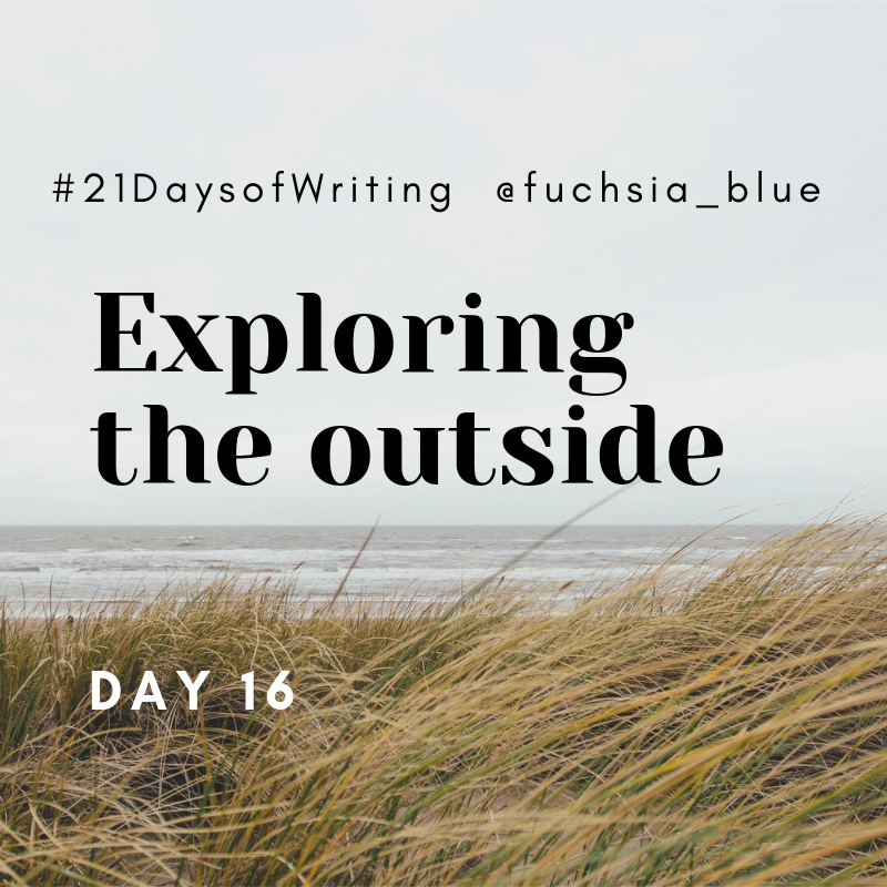 fuchsia_blue's tweet image. Exploring the Outside – #21daysofWriting – Day 16 fuchsiablueblog.wordpress.com/2019/05/25/exp…