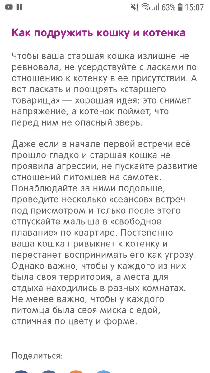 albusGK's tweet photo. @lyka_zai_ https://t.co/16J5YlImAc