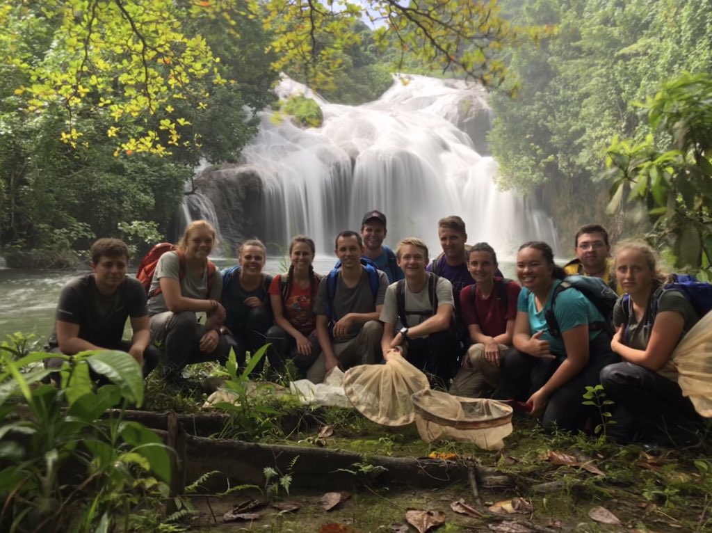 BybeeLab tweet media