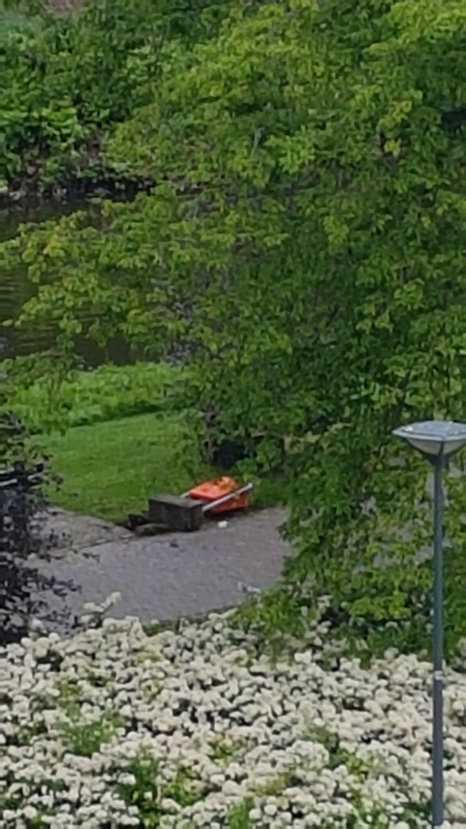 JackVanGool1's tweet photo. Wéér vandalisme in het park Waaróm!!!! https://t.co/HZcswgX1Ic