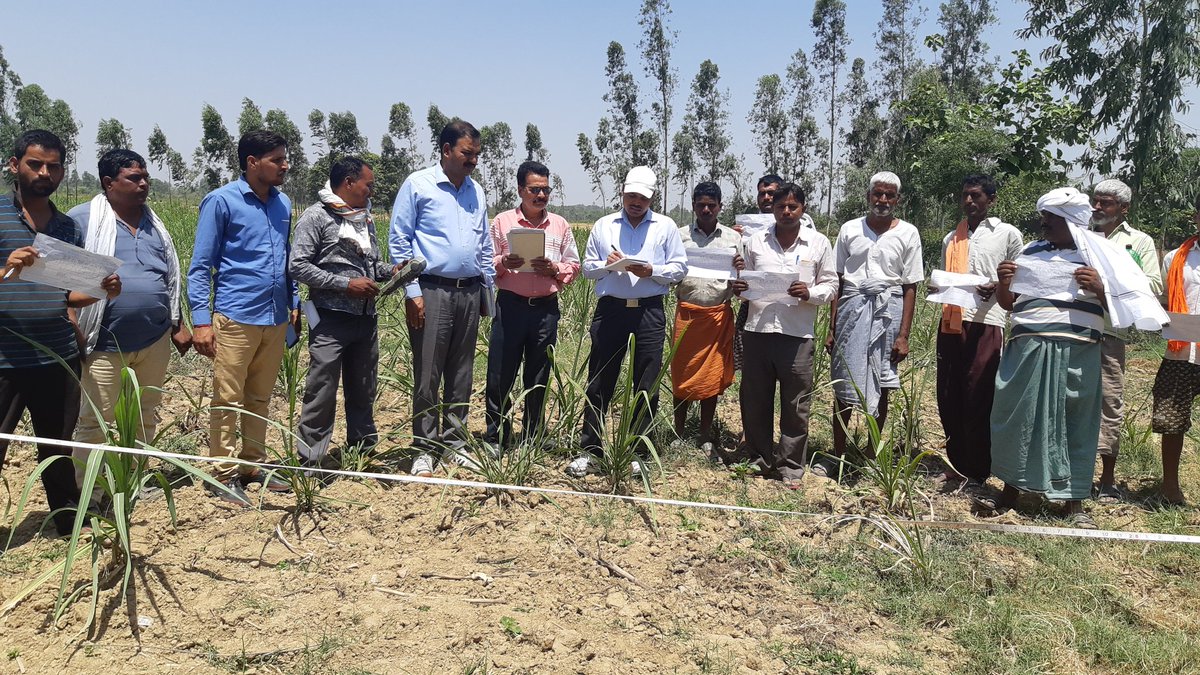 DCO SITAPUR tweet media