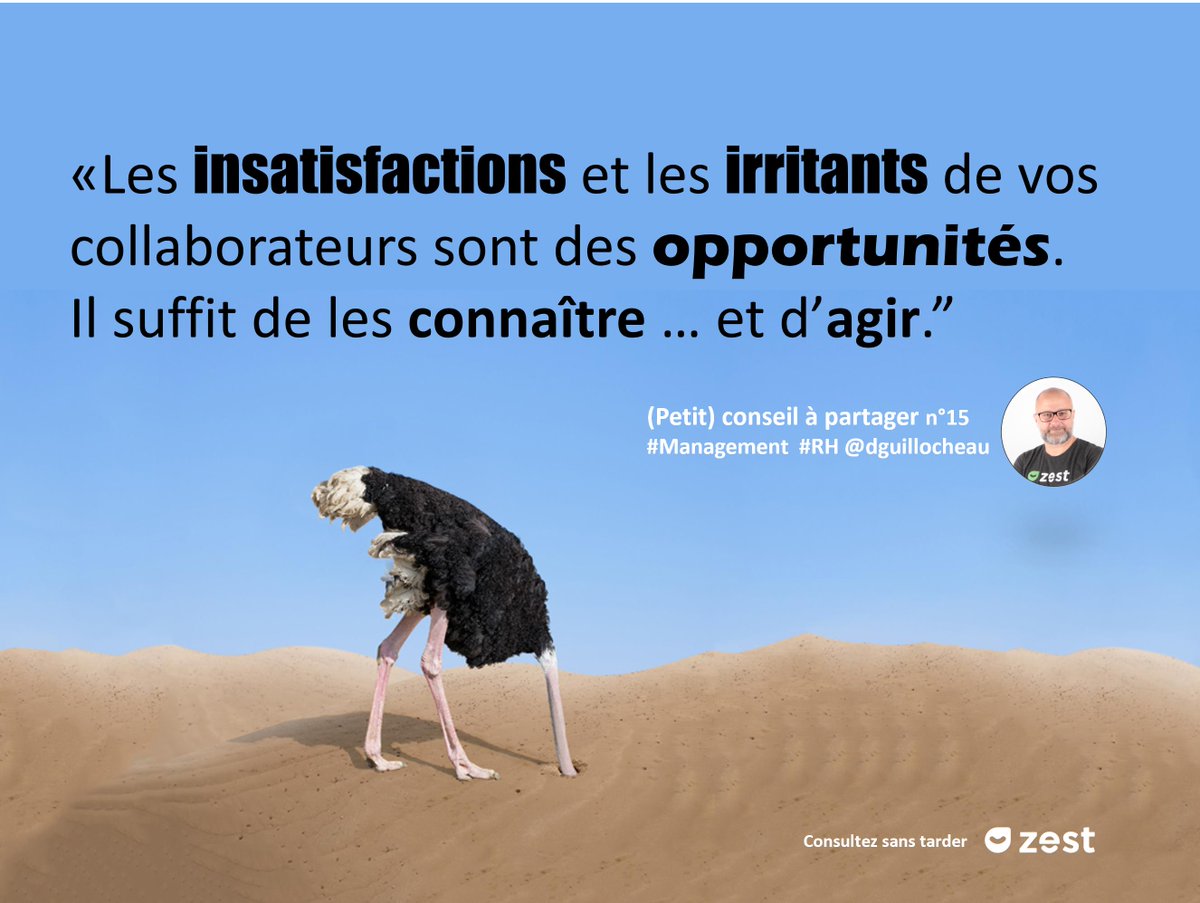 dguillocheau's tweet photo. #Management et #RH : ne faisons pas l'autruche pour améliorer l'#experienceCollaborateur et l'#engagement  #CaP15 https://t.co/F8lZRql6PV