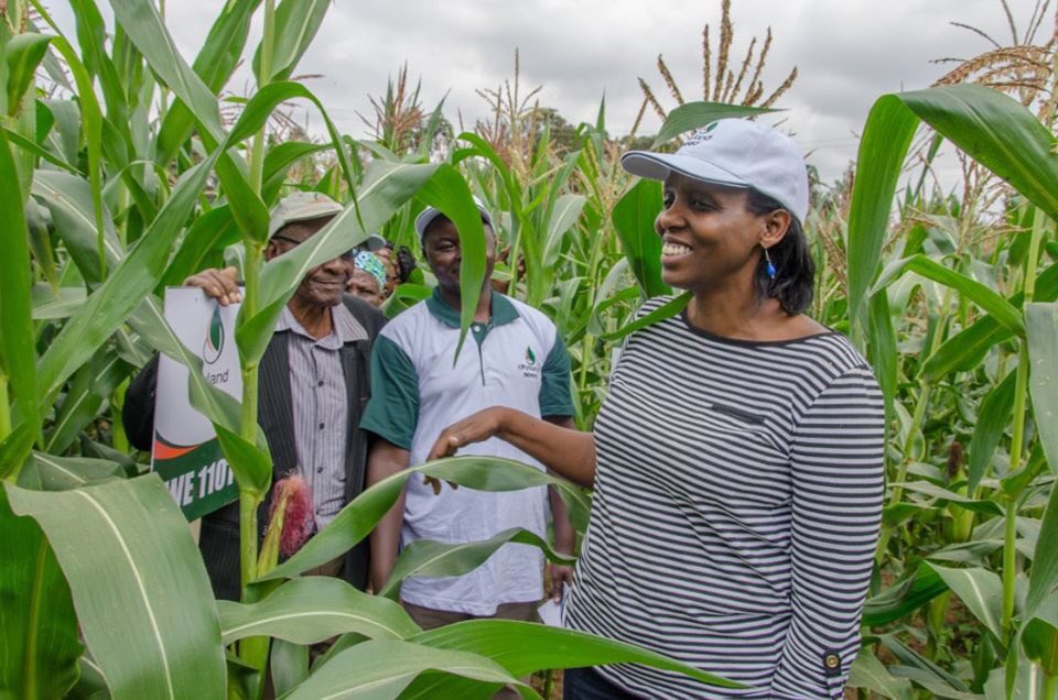 Agric Finance Corp tweet media