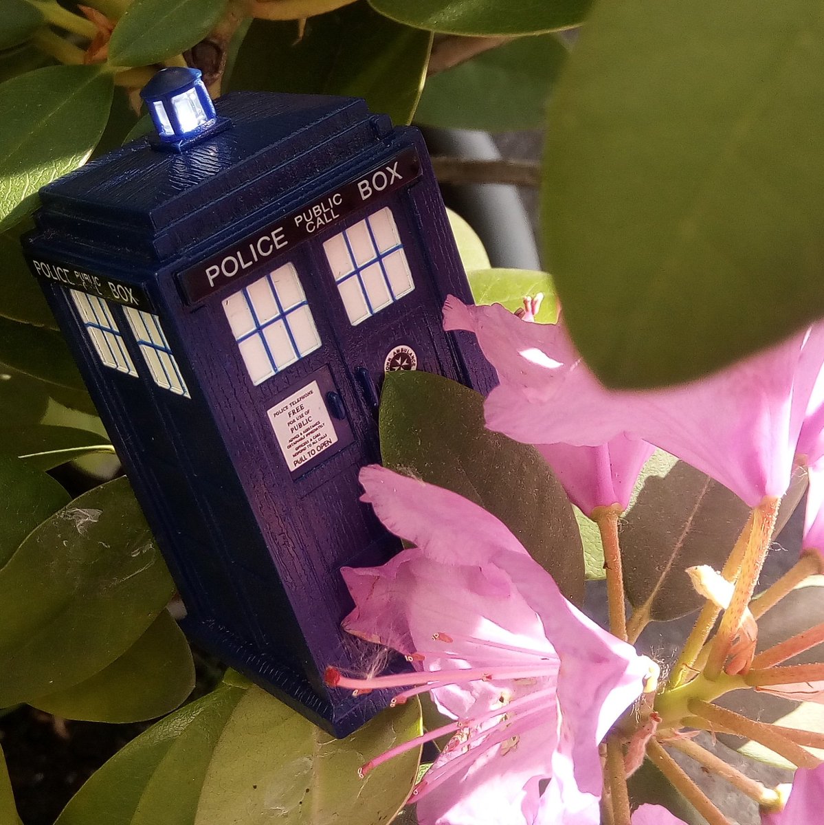 Iltu123's tweet photo. Moin moin π
#doctorwho #TARDIS #flowerpower #intimeandspace #HomeForWhovians #doctorwhofans #whovians #itsweekend #saturday #Berlin https://t.co/XmKYS8A3Pe