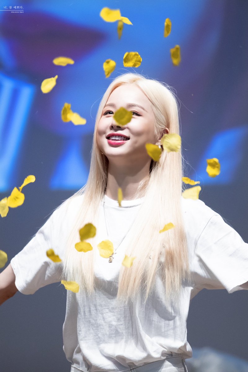 soljiarchive's tweet photo. © 너, 참 예쁘다 (@PrettyU_0110) https://t.co/xUUkEHspEF