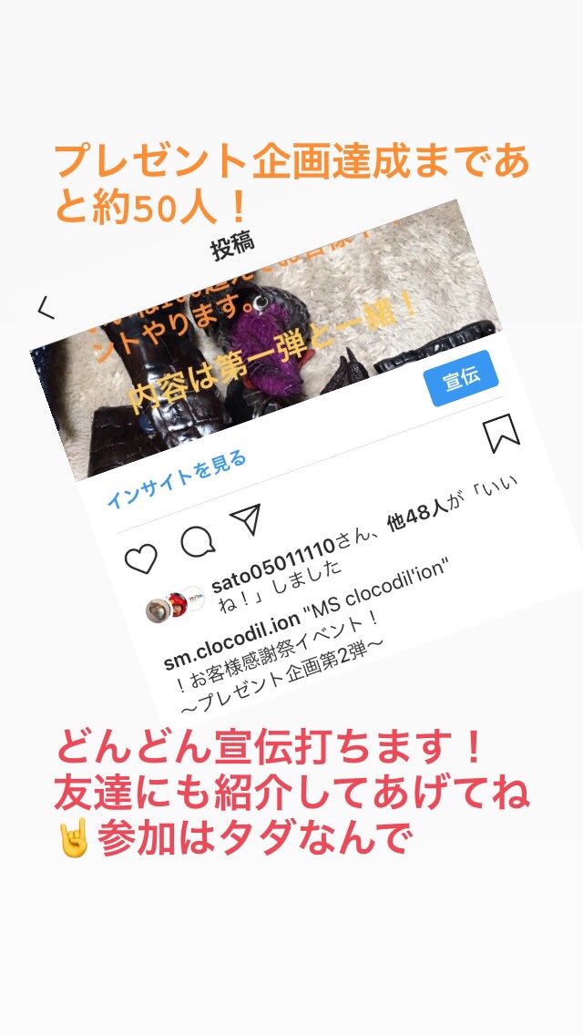 seiya_kyushu's tweet image. インスタは二日くらいでツイッターのフォロワー数を抜いてしまって何か複雑な気持ちw

画像、動画が強いって事ですね！

ツイッターも頑張ります。
活字苦手😅

ツイッターでさえ面白いうえしさんのインスタ見たい🤔

#MScoco
#エムエスクロコダリオン
#うえし
#うえしさんのインスタ見たい