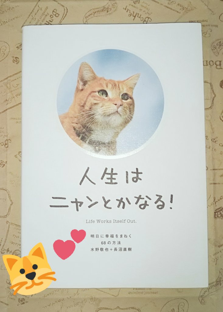 人生はニャンとかなる Twitter Search