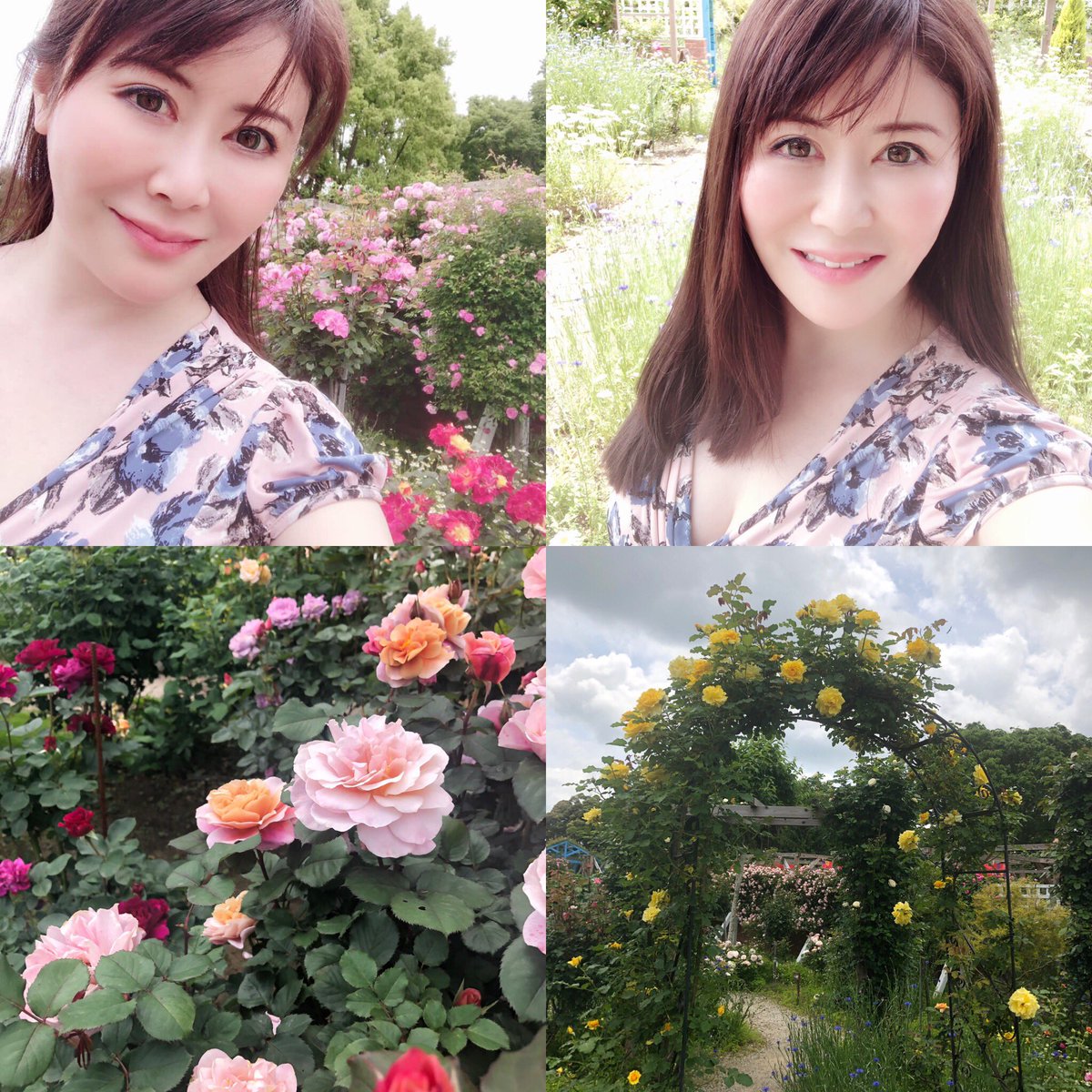 薔薇が好きな人と繋がりたい 薔薇が好きな人と繋がりたい