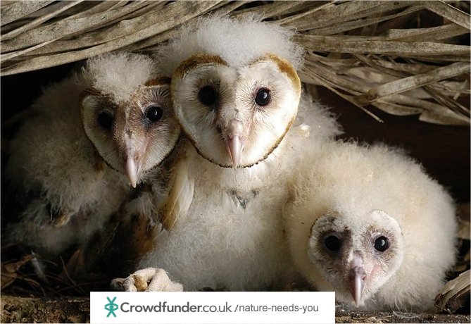 NDevonBiosphere's tweet photo. #NorthDevon's #Nature Need YOU! Please support our Crowdfunder for a 3-year project to restore our amazing #wildlife throughout North Devon. Every penny counts - please help! Donate here: https://t.co/qtH9jk3HYy https://t.co/0N4mPqwEcQ