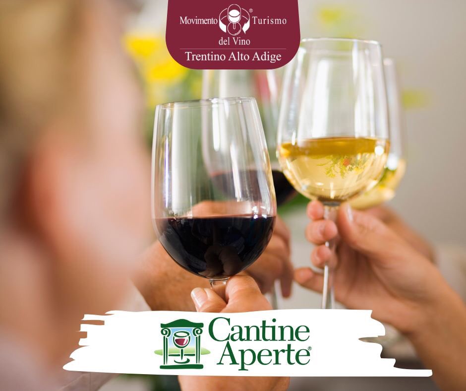 MTVtrentinoalt1's tweet photo. Oggi al via in #Trentino #CantineAperte2019 vi ricordiamo che:
📌 l'elenco di tutte le cantine partecipanti lo trovate QUI ➡️ https://t.co/SRf1SAzCvx

Aspettiamo le vostre foto ovunque: 
taggateci MTVtrentinoaltoadige e usate gli hashtag #cantineaperte2019 #mtvtrentinoaltoadige https://t.co/jQq0tuABNO