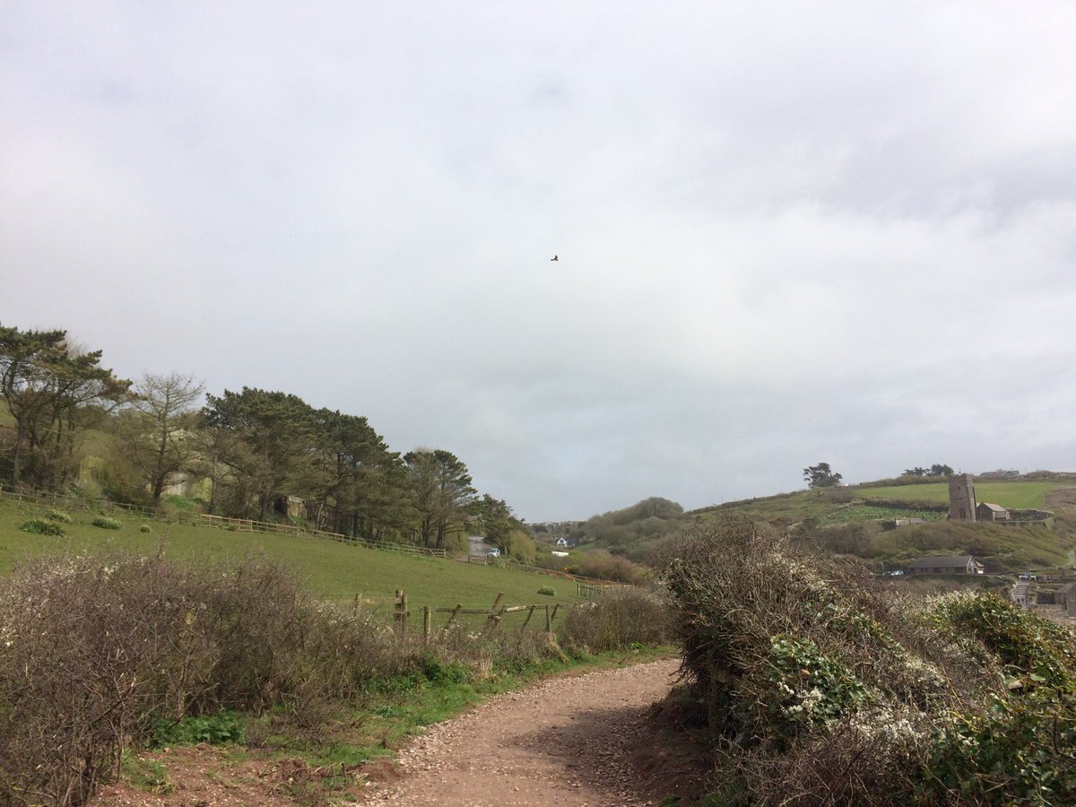 KewishJenny's tweet image. #GreatDevonDays #visitdevon #LoveDevon #ThePhotoHour 
Wonderful springtime walk from #Heybrookbay to #Wembury #Plymouth