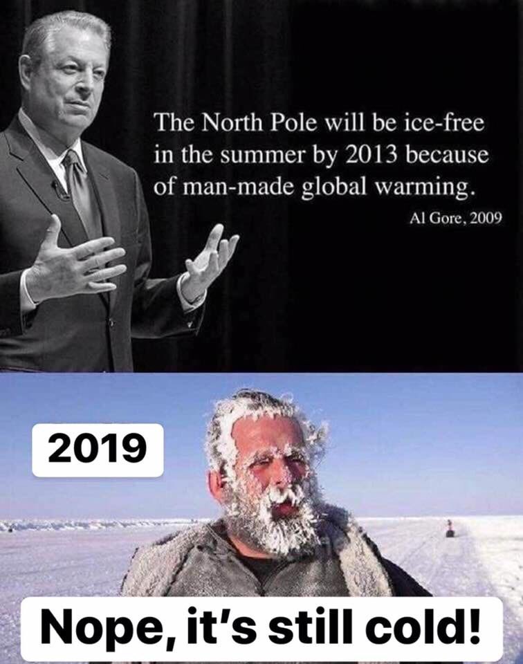 Mr NoBull 🇦🇺 tweet media
