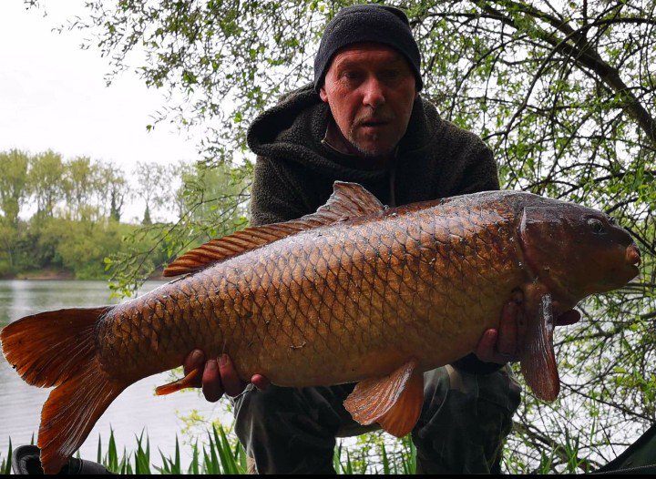 FFCBAITS's tweet photo. Obviously Chris Thripp's haul of UK 40's stole the headlines but here are some of the other carp he caught on the same sessions to 29lb 12oz. Not bad for 2 short sessions on a water he'd never fished before! #Thripster #bigcarp #hauling https://t.co/JXVqMskbW8