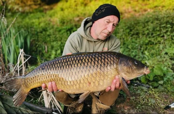 FFCBAITS's tweet photo. Obviously Chris Thripp's haul of UK 40's stole the headlines but here are some of the other carp he caught on the same sessions to 29lb 12oz. Not bad for 2 short sessions on a water he'd never fished before! #Thripster #bigcarp #hauling https://t.co/JXVqMskbW8