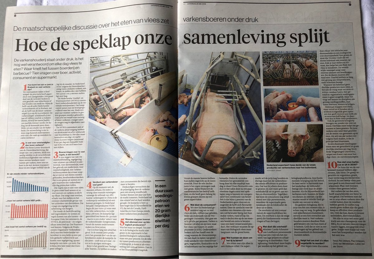 Goede analyse en visie in het AD