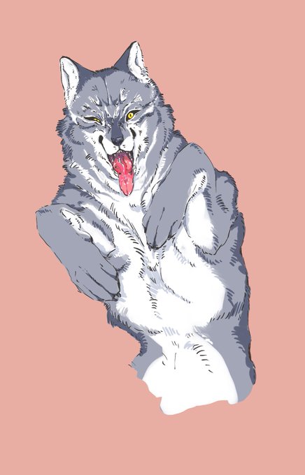 ヨツケモ 狼アイコンのために描いた 