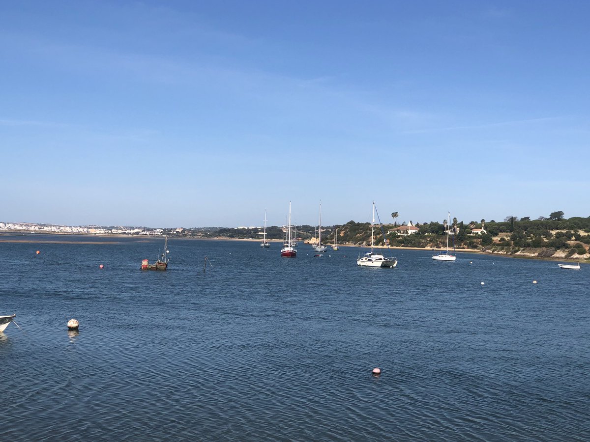 F_Geoghegan's tweet photo. Saturday morning walk along the coast #Alvor #naturewalk #nature #healthy #invigorating #happiness https://t.co/jC9w442A64