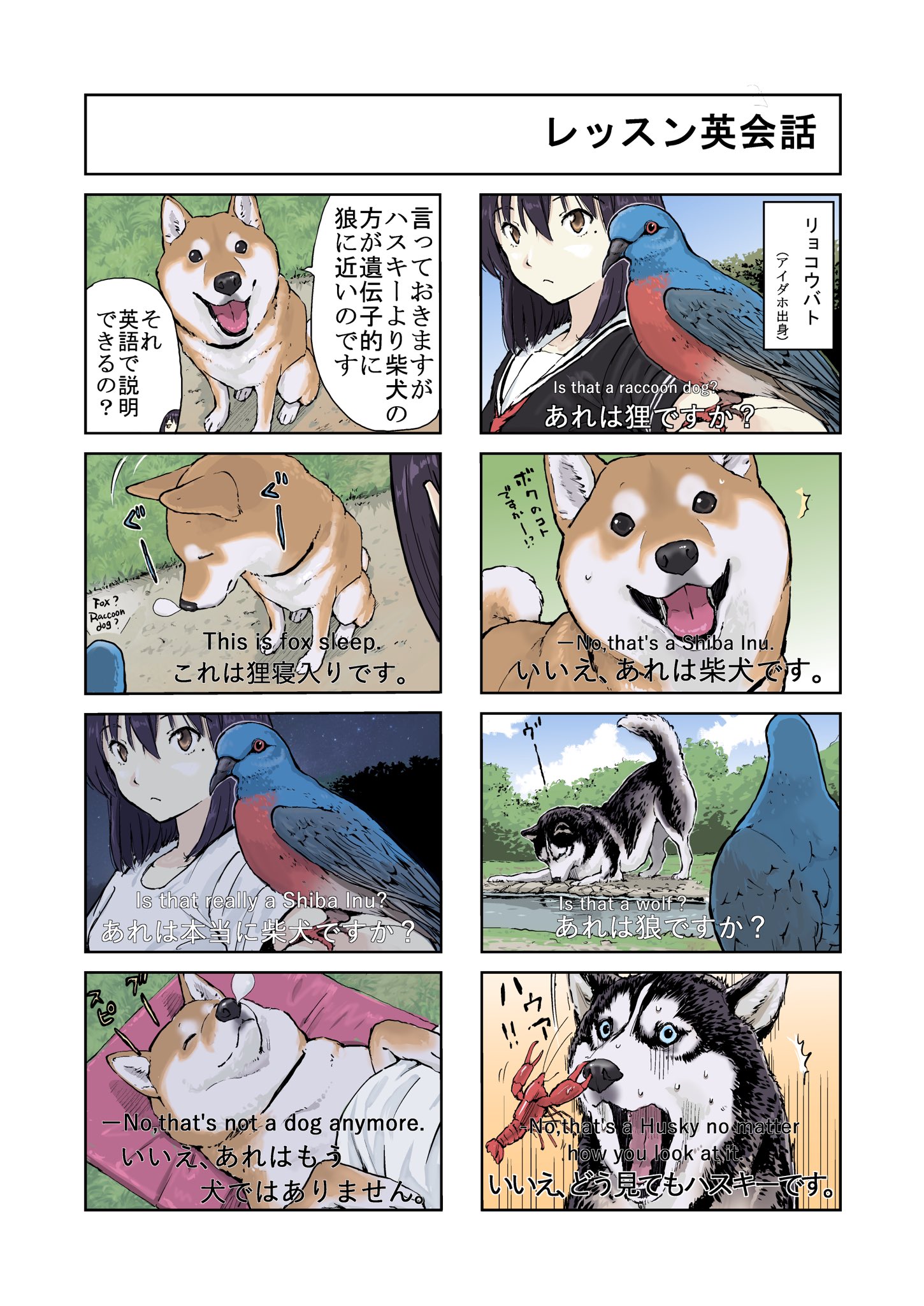 石原 雄 世界の終わりに柴犬と レッスン英会話の回 T Co Sxsmce000q Twitter