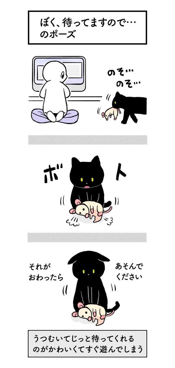 猫のこの可愛さってなんなの？！心がギュンってなるよ！