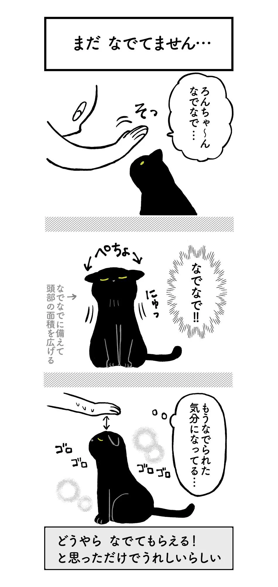 猫のこの可愛さってなんなの？！心がギュンってなるよ！