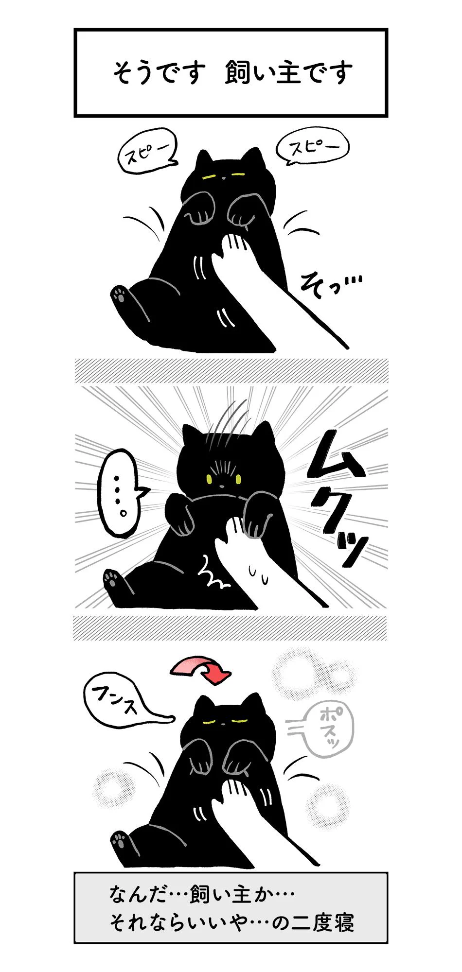 猫のこの可愛さってなんなの？！心がギュンってなるよ！