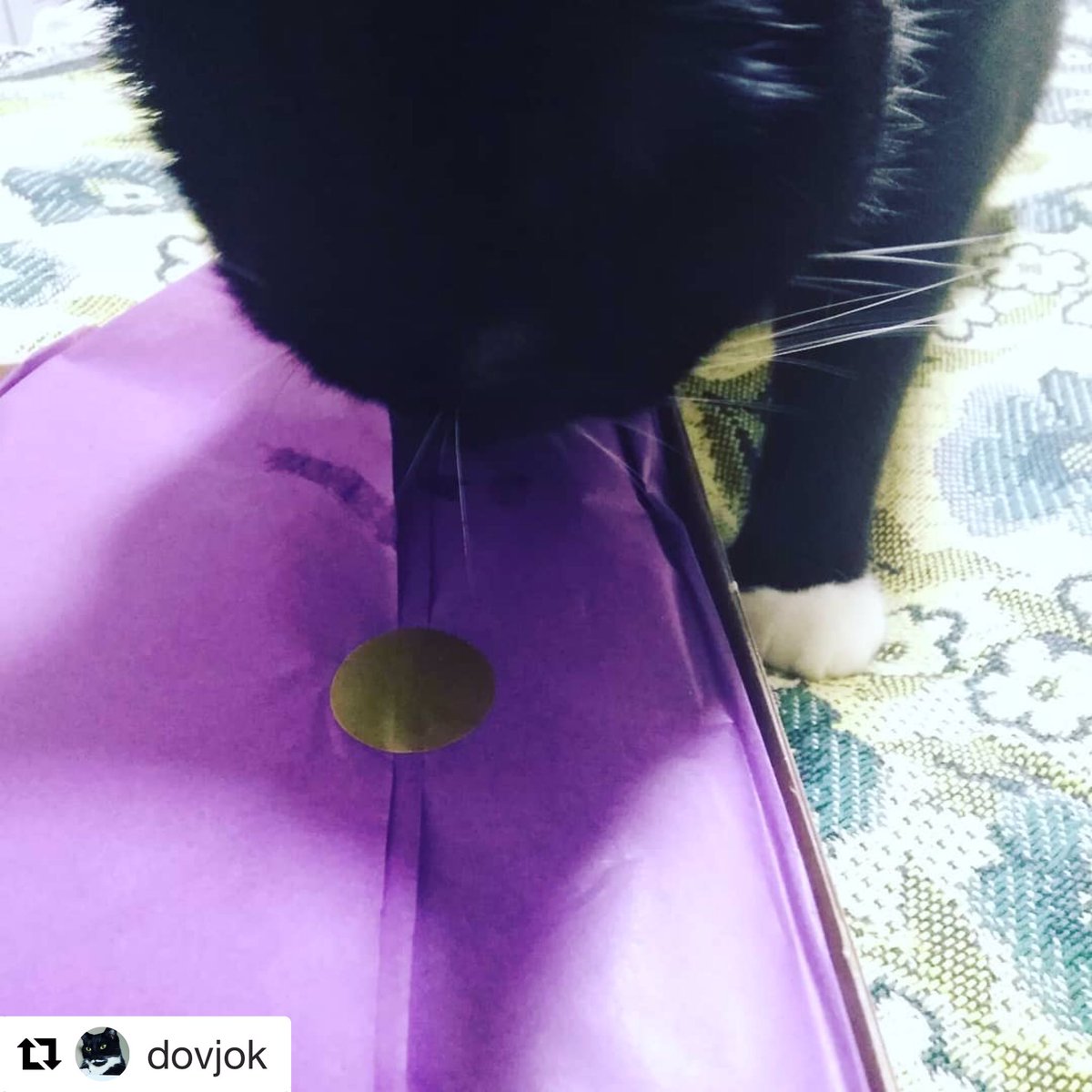 purrboxes's tweet photo. Happy #Caturday! 😊😻📬
#catstagram #catsoftwitter

#Repost dovjok with get_repost
・・・
My human gave me #purrboxes #happiness

#tuxedocat #blackandwhitecat #blackandwhite #moustachecat #moustache #geopetricpalssofinstagram #cats #tux #tuxedo https://t.co/fFJaFXsRht