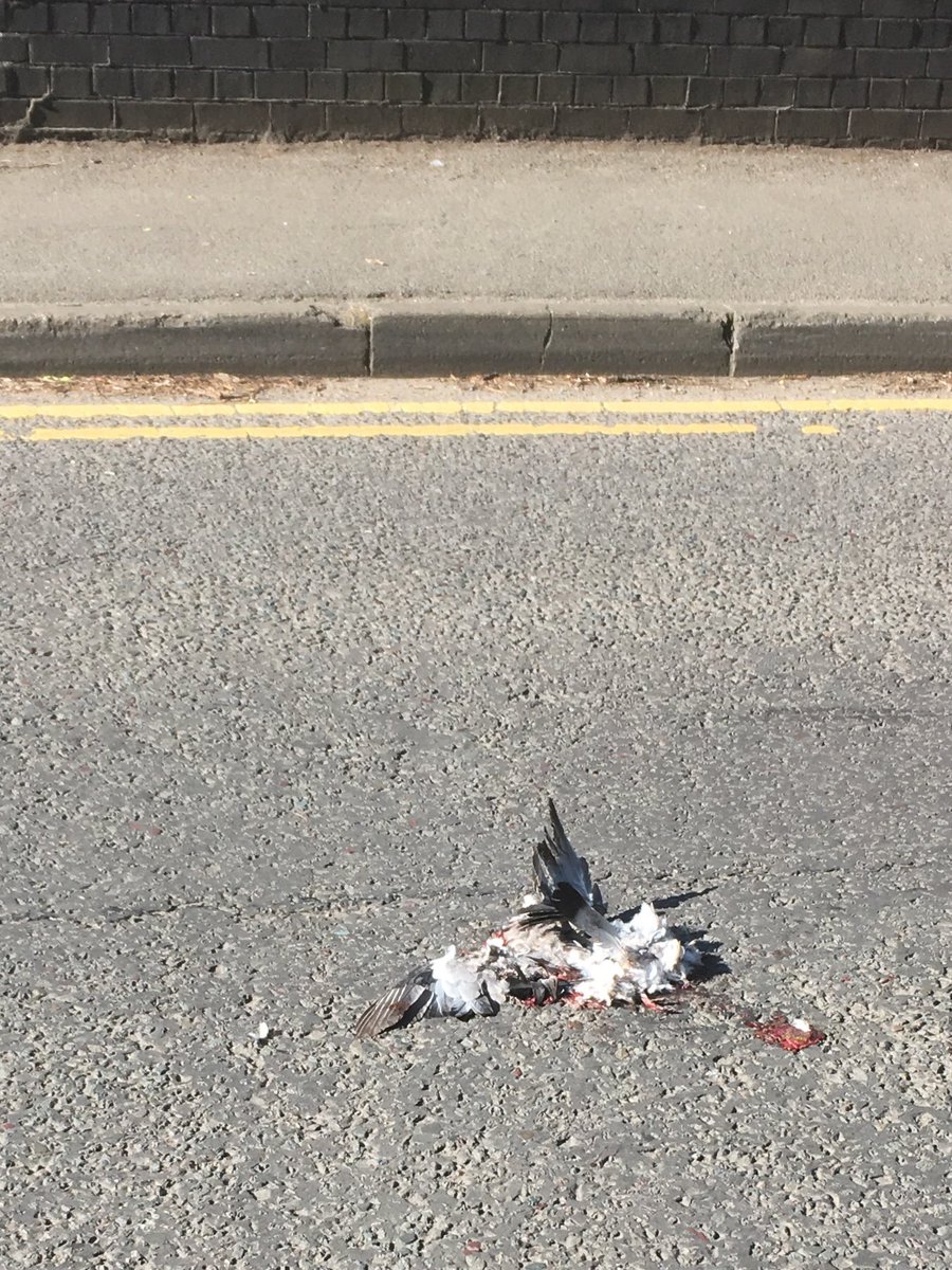 Before anyone asks, no I didn’t do it. I’m a bridge. I’m immobile.