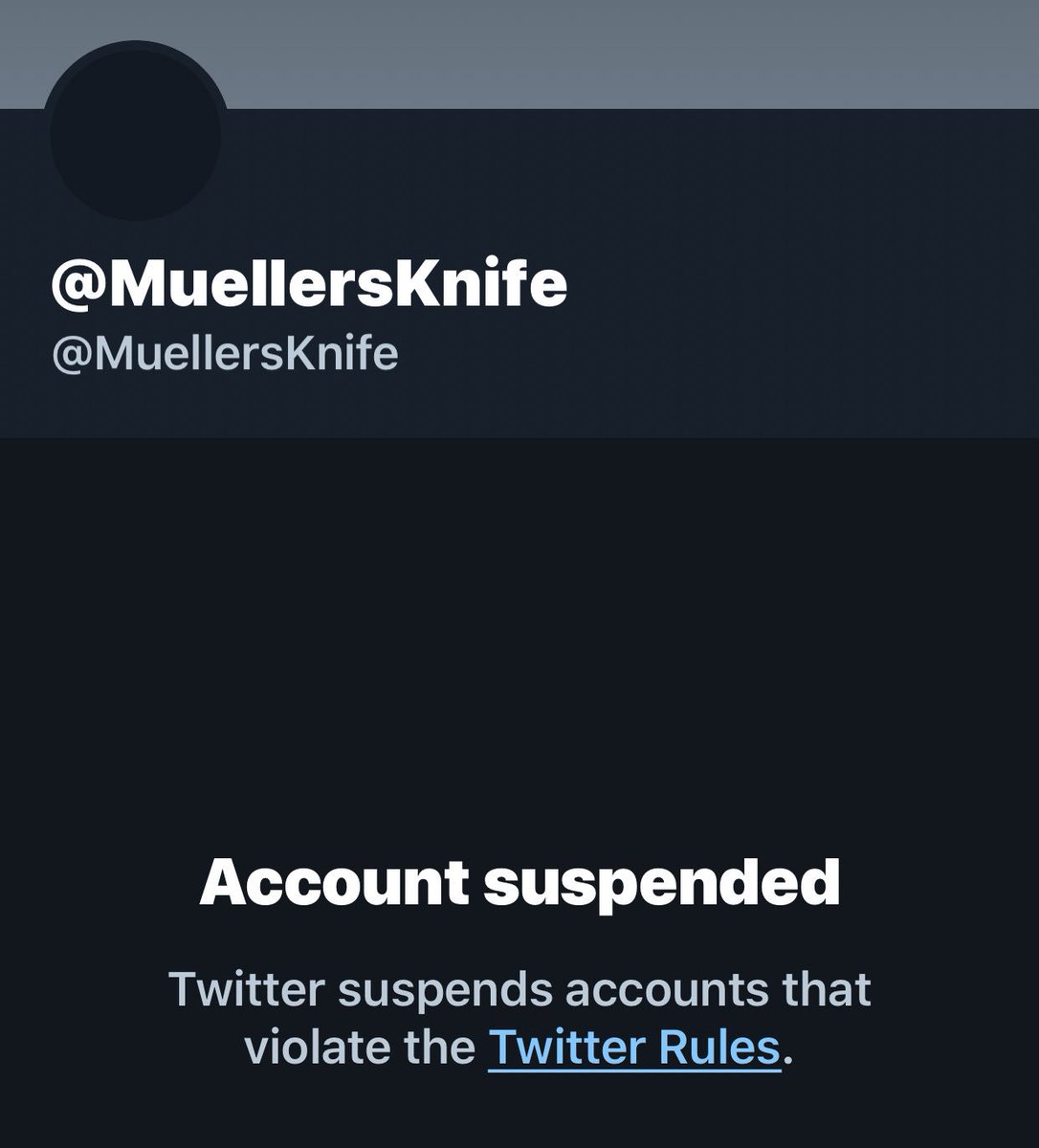 MarinaGipps's tweet image. @TVFHBlog  Why was your  account suspended?  Our #MarchToSaveDemocracy accounts were suspended.  Is @womensmarch having this issue?