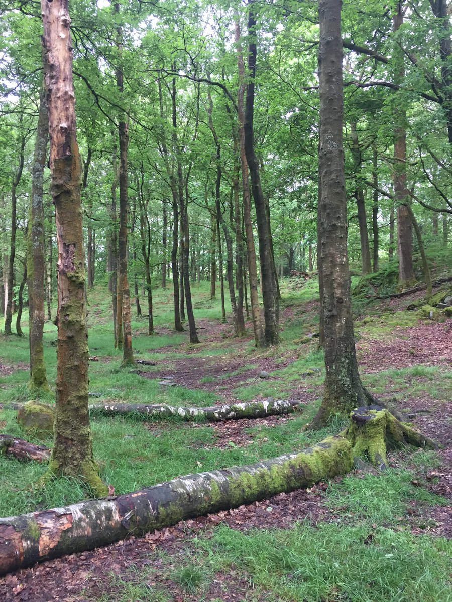 I’m hugely impressed with the practice gold #dofe expedition group from @Rainford_High as they had tough conditions on and off the water. 

Really impressed with their team work, resilience and stamina.  You’ll make excellent gold candidates next year. 

Well done everyone!!