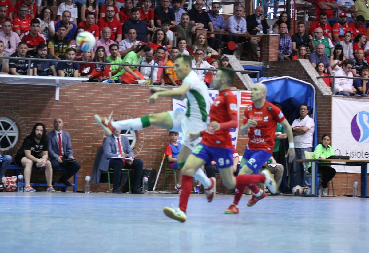 FSWeb2008's tweet photo. ⏰ FINAL! FINAL!! 2--3 #MengibarCordoba
⚽️ Increible este duelo que hace historia porque el @CordobaFutsal vence y es equipo de Primera División !!
#lnfs #futsal #sport #cordoba #sport #laliga #mengibarfs #rfaf #rfef https://t.co/liMnBd0bG4