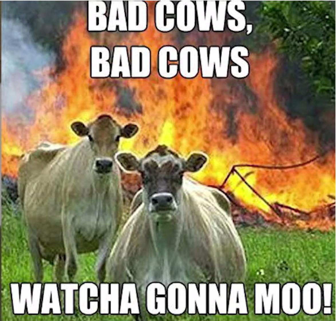 Kerry Stratton tweet media