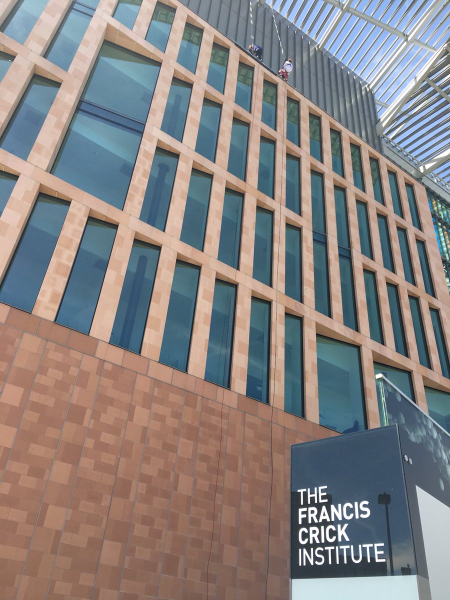 Maria Ocampo-Hafalla, PhD tweet media