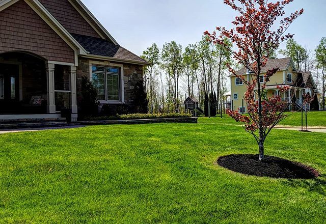 sweet_landscape's tweet photo. 🌱🌱 Saturdays are for catching up! A rainy month of May, means we're still doing cleanups in June 🙆‍♂️ #mulch #landscaping #landscaping #moncton https://t.co/p6PnHs7LXT https://t.co/PYbccjVsQX