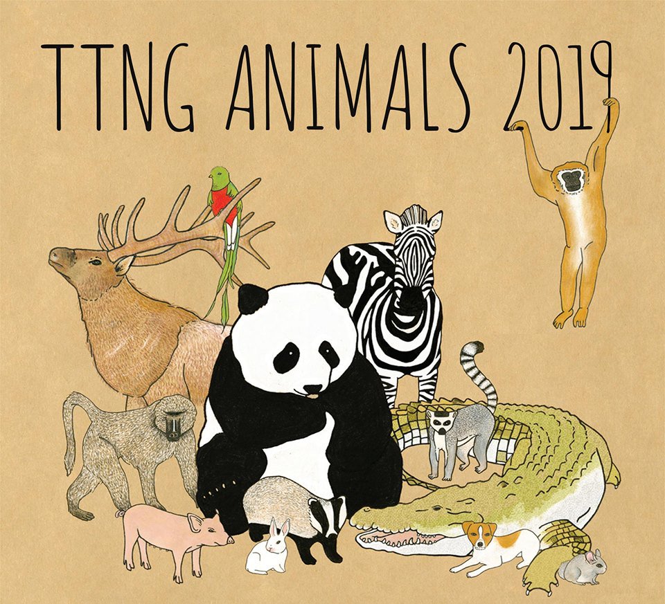 The Bottleneck tweet media