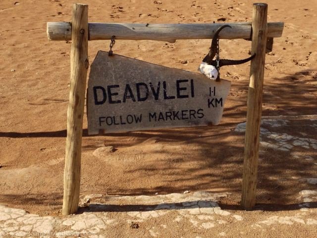 roadtrippers_t's tweet photo. Explore the Namib' desert, climb the highest sand dunes in the world, experience the Dead Vlei & witness an amazing sunrise!
Packages from R12999.
SAVE THE DATES!
30th of Nov - 5th of Dec!
.
#namibia #africa #thetropicofcapricorn #travel #seenamibia #roadtrippersinnamibia https://t.co/YjWVownEr6